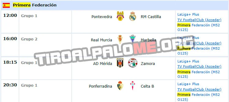 primera federacion jornada23 partidos doming8 2026 tiroalpalo t
