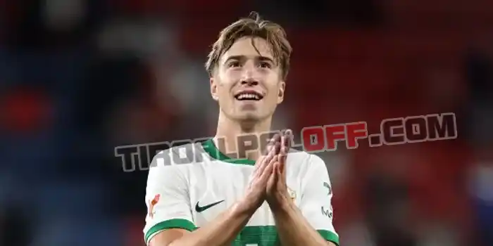elche al ain 28 julio 2026 tiroalpalo